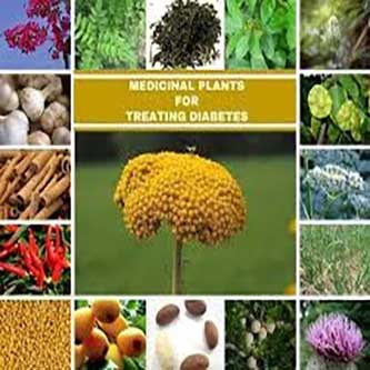 گیاهان دارویی در درمان دیابت